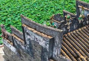 河南省上蔡县文楼村马深义现在生活视频/上蔡县马庄村