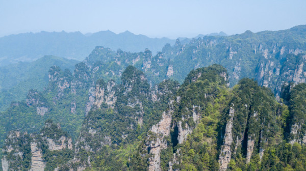 南京写错湖南张家界道歉/南京 道歉 张家界