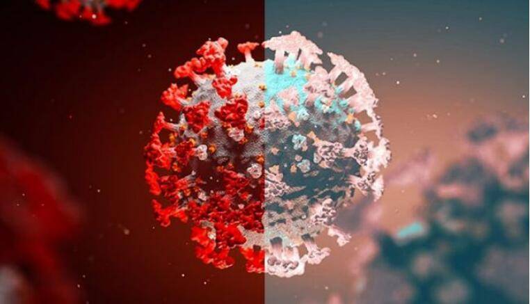 德尔塔病毒又一克星中国传喜讯/德尔塔病毒来了是真的吗