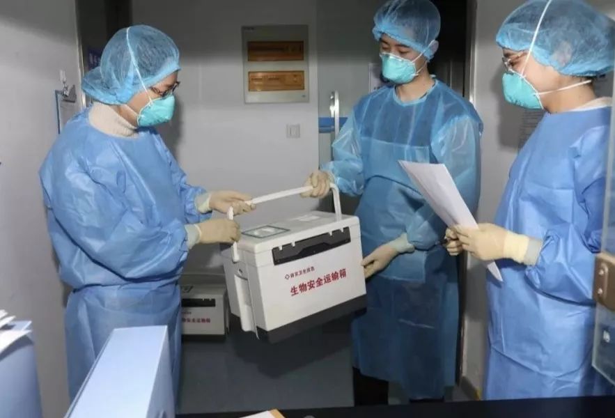 上海一航班11人确诊/上海航班发现新型冠状病毒