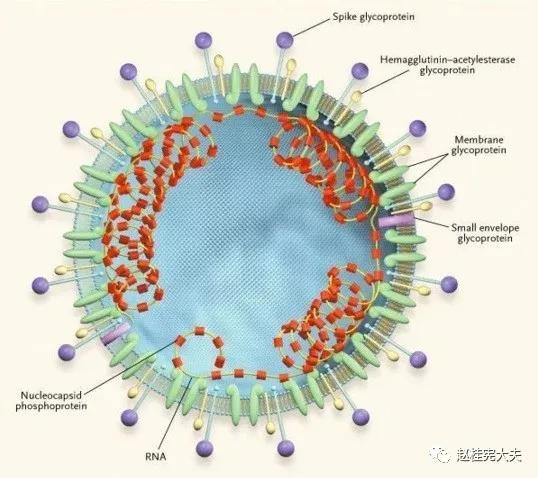 中国没有出现新冠的地方（中国没有新冠病毒的省份）