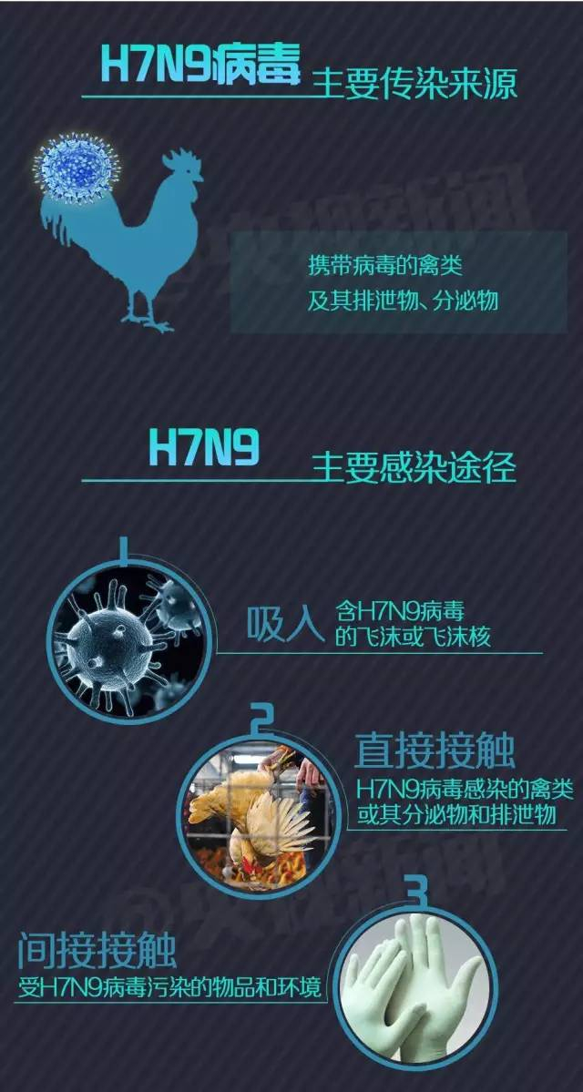 h7n9禽流感属于哪类传染病/h7n9禽流感属于哪类传染病需要什么颜色的标识