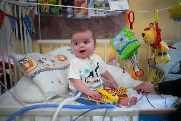 广州护士感染阿尔法死亡:广州护士感染阿尔法死亡原因