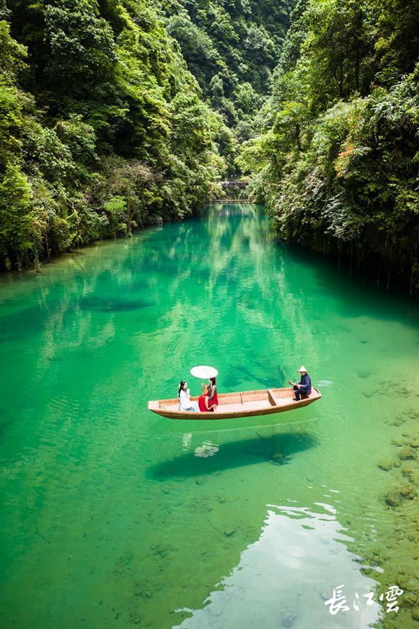 为什么核酸检测全国停止了没有结果:核酸检测为什么这么久出结果