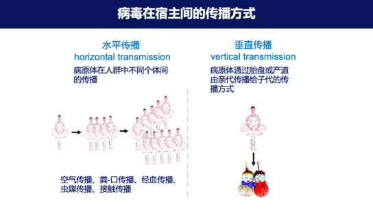 新冠感染症状发展阶段是什么
