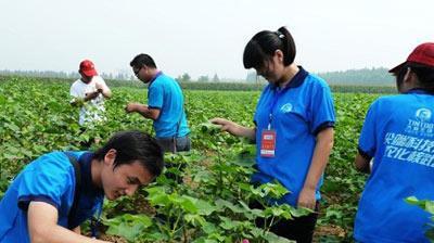 【2020疫情停工令,疫情停工标准】 【2020疫情停工令,疫情停工标准】