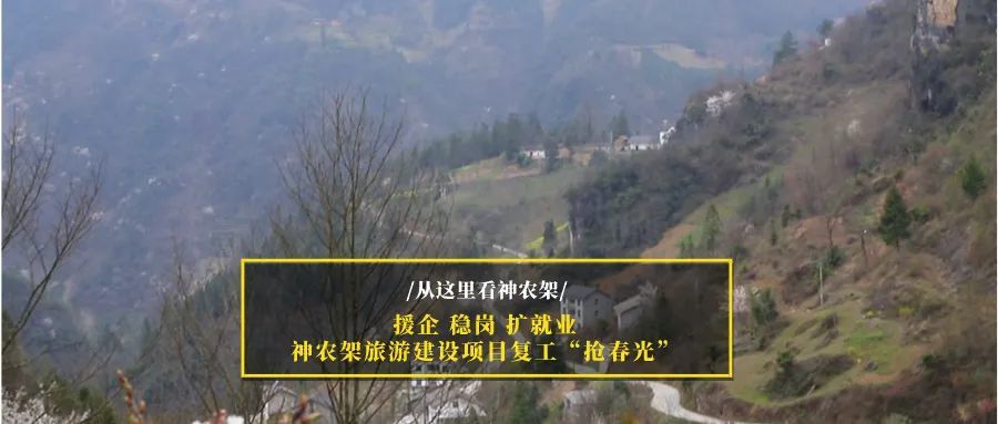 【神农架紧急通知/神农架什么时候解封】