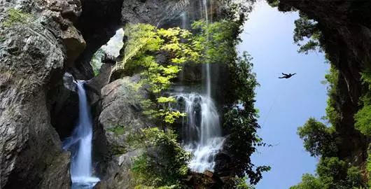 神农架多举措推动生态保护与旅游升级，近期亮点频现