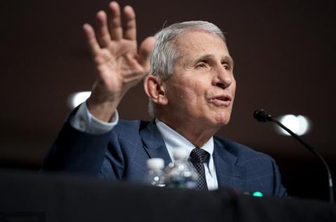 【美国累计确诊超84万/美国累计确诊数突破500万】