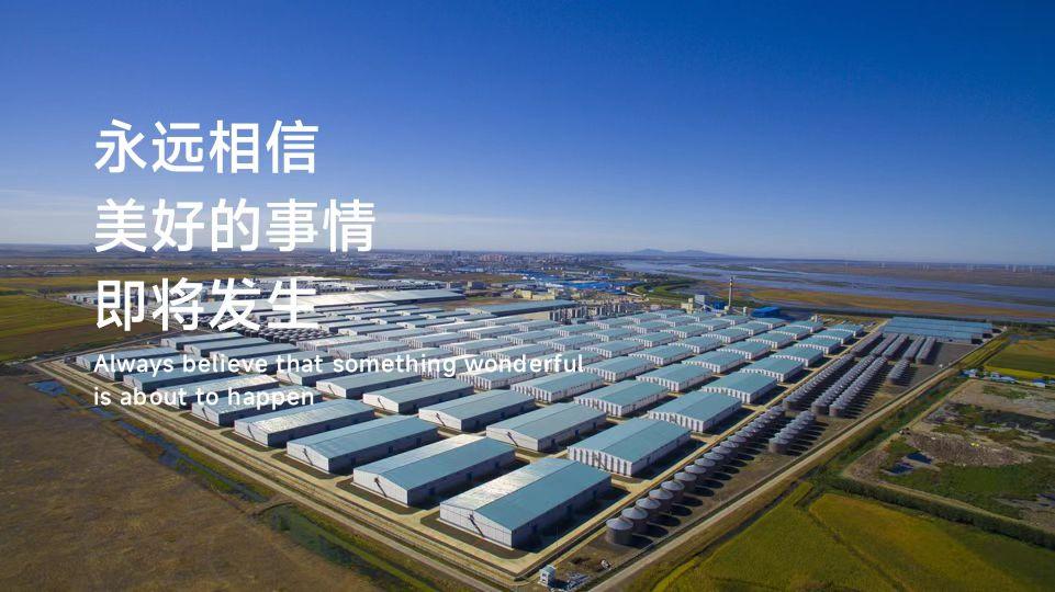 疫情下的金融守护者，郑州银行多措并举助力实体经济复苏