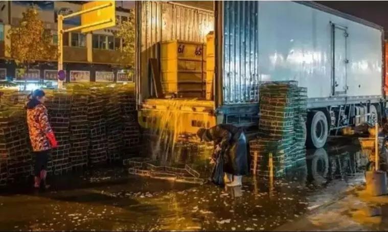 华南海鲜市场视频（华南海鲜市场价格）