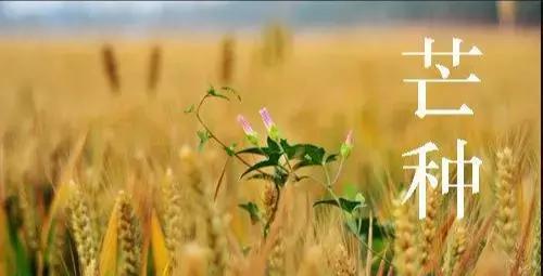 清明时节雨纷纷—详解清明节日期背后的历法智慧
