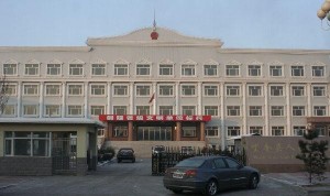 黑龙江绥化望奎封城/黑龙江绥化望奎县最新通告