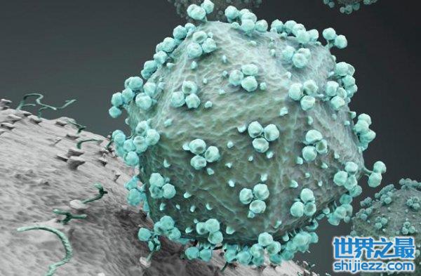 传染厉害的病毒:传染性最强的病毒排行