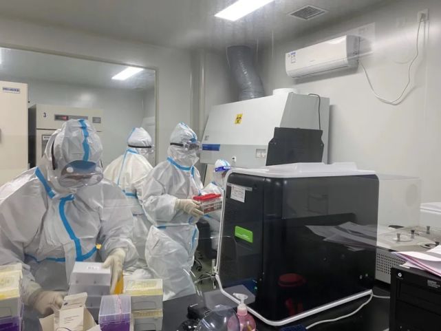 【10人混检核酸准确吗/核酸检测10人混检出报告吗】 【10人混检核酸准确吗/核酸检测10人混检出报告吗】