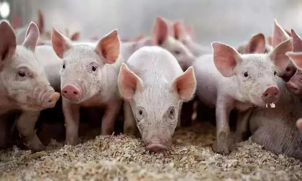 黑龙江新增68例确诊病例，疫情防控再响警钟