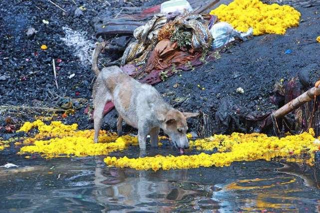 广西十五号疫情:广西15号封城是真的吗