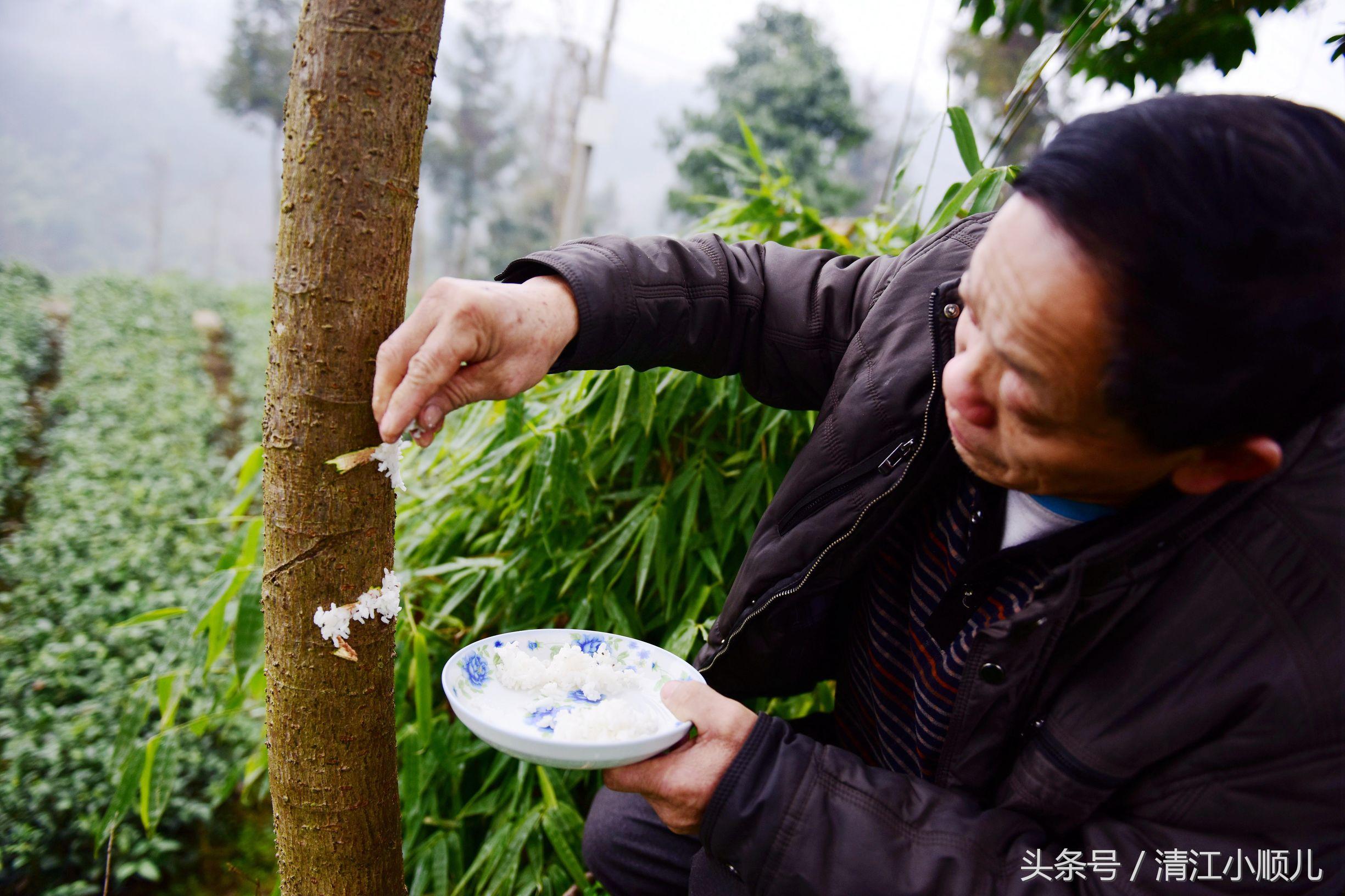 家字藏玄机，十一口与二十口的团圆智慧