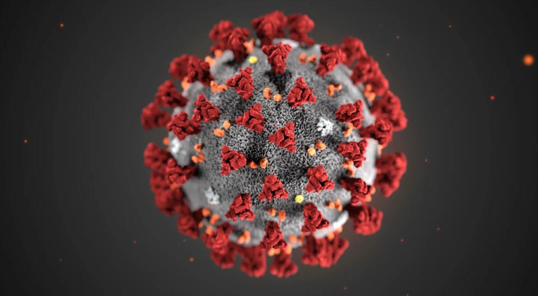 【全球多地出现变种新冠病毒吗/十多个国家发现变异新冠病毒】