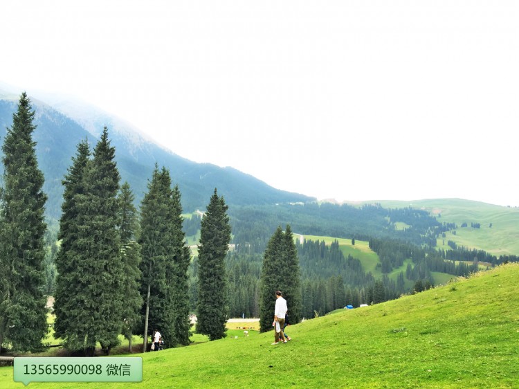 【11月份新疆旅游哪里好/十一月新疆旅游最佳之地】