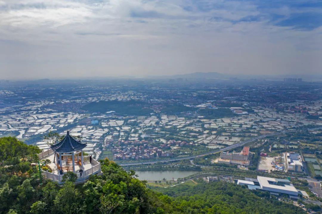 2025年8月20日限行规定/2025年8月20日限行规定官方