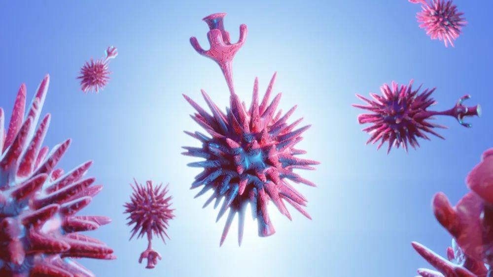 【新冠毒株有哪些,新冠毒株类型】