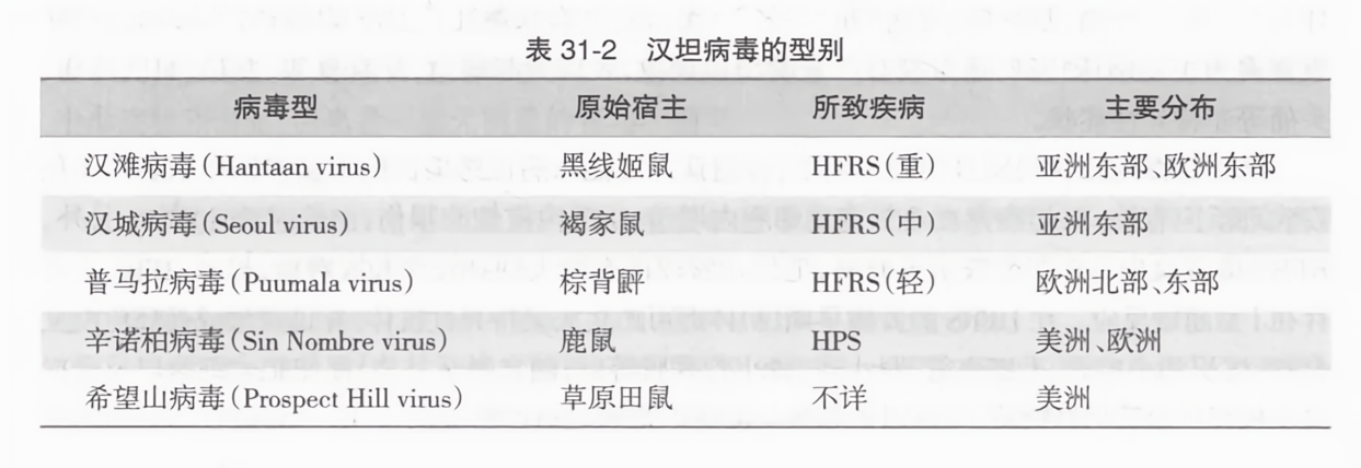【汉坦病毒是什么意思/汉坦病毒是什么意思啊】
