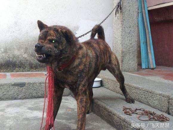 【江西新增1例本土是哪里/江西新增1例本土具体情况】