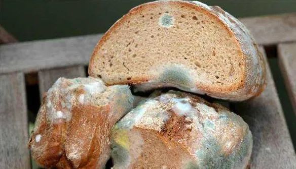 印度毛霉菌症状:印度毛霉菌病症状 印度毛霉菌症状:印度毛霉菌病症状