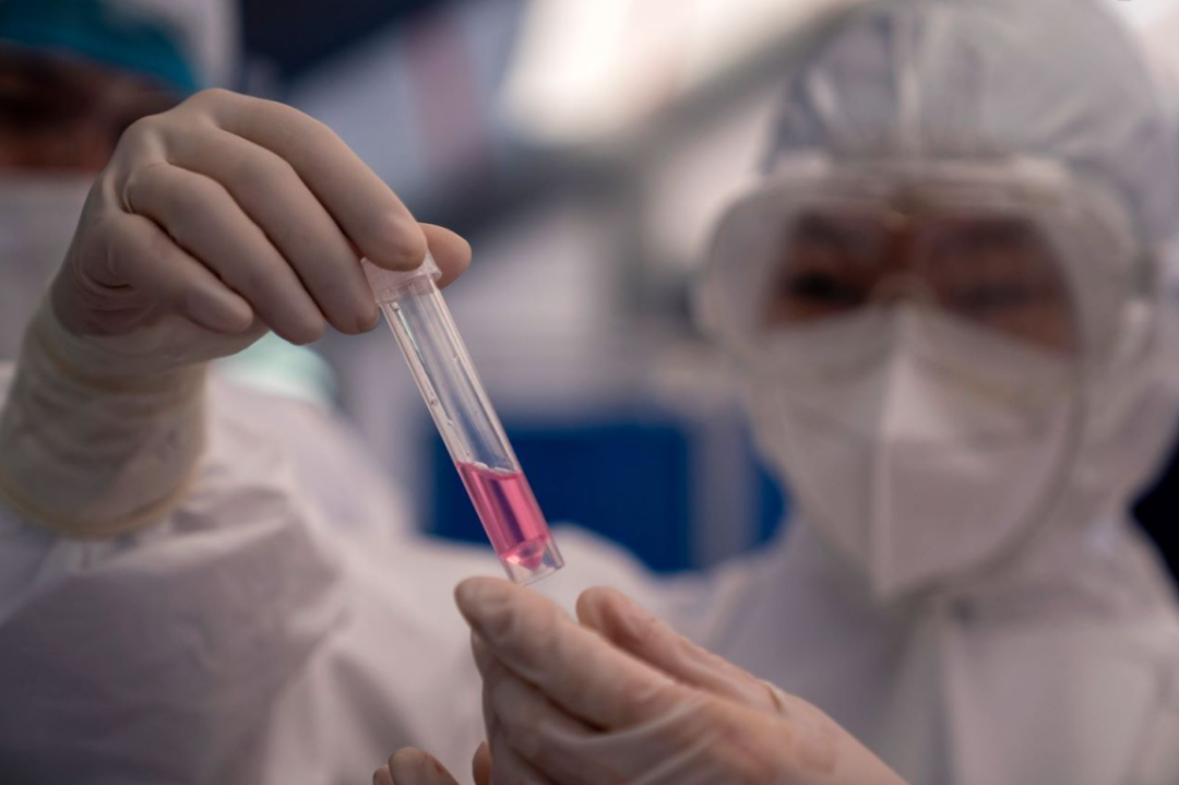 新冠转阴后多久产生抗体/新冠肺炎转阴后多久会有抗体