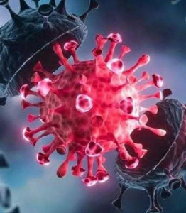 奥密克戎最新变异毒株最新消息/奥密克戎最新变异毒株最新消息症状 奥密克戎最新变异毒株最新消息/奥密克戎最新变异毒株最新消息症状