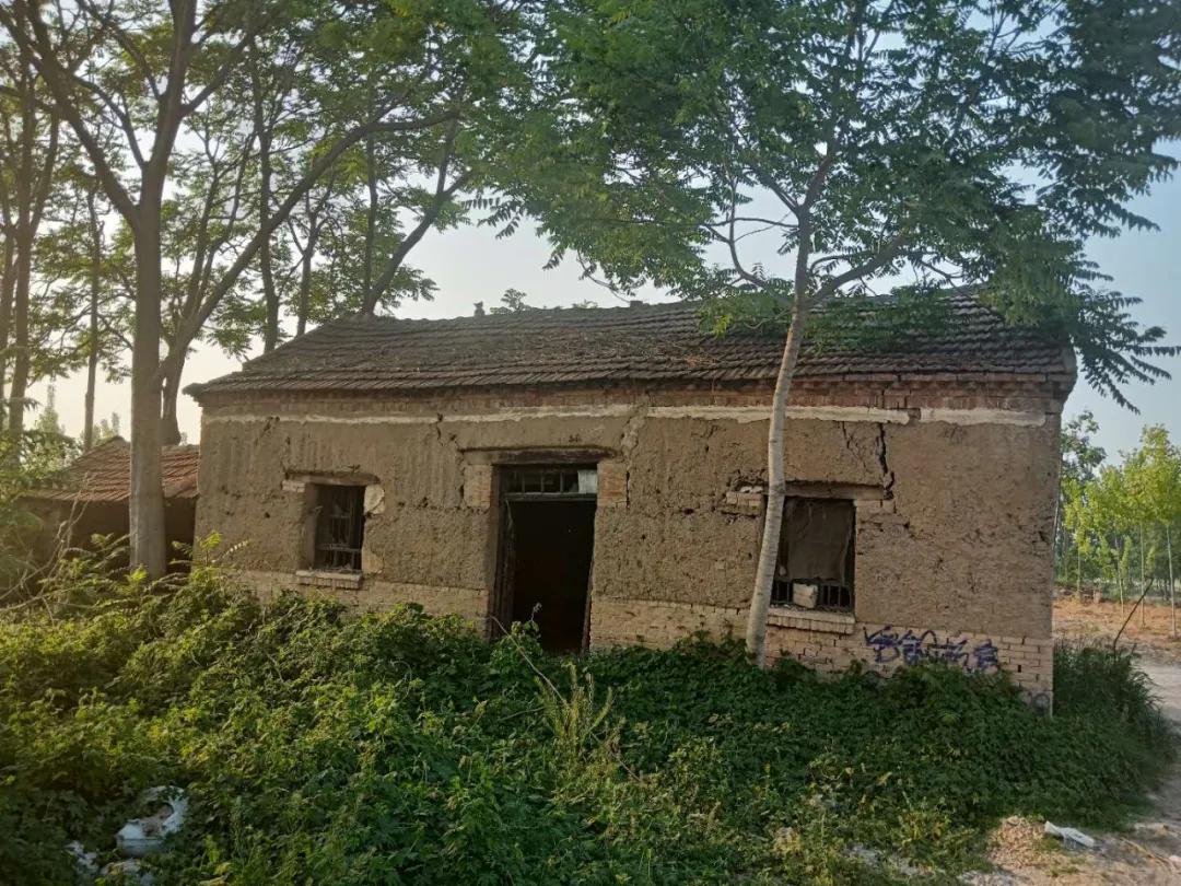 【济宁鱼台疫情防控电话,济宁鱼台疫情防控电话是多少】 【济宁鱼台疫情防控电话,济宁鱼台疫情防控电话是多少】