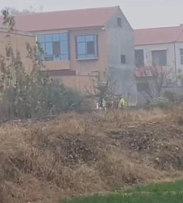 【平邑同台庄一家六口被杀案件,平邑同台庄一家六口被杀案件结果如何】 【平邑同台庄一家六口被杀案件,平邑同台庄一家六口被杀案件结果如何】