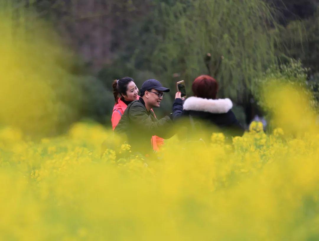 疫情通报张家界(疫情通报张家界天气) 疫情通报张家界(疫情通报张家界天气)