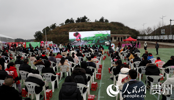 今日花溪区新闻/花溪新闻头条 今日花溪区新闻/花溪新闻头条
