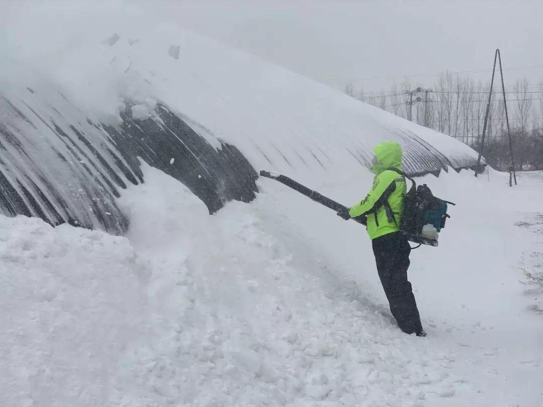 辽宁营口疫情最新情况(辽宁营口疫情最新动态) 辽宁营口疫情最新情况(辽宁营口疫情最新动态)
