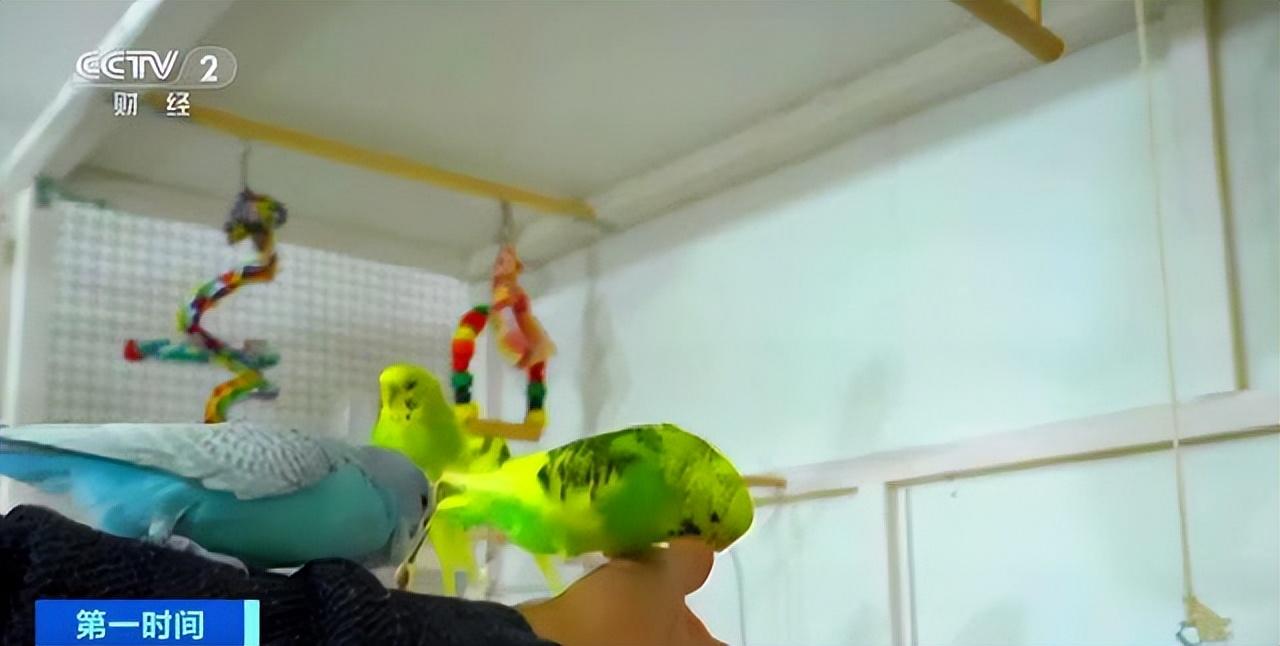 全国其他省份重症占确诊病例的比例由1月27日的最高/全国新冠重症病例到底有多少 全国其他省份重症占确诊病例的比例由1月27日的最高/全国新冠重症病例到底有多少