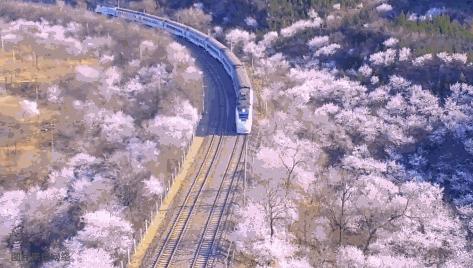 汽车限号查询2020年11月/汽车限号查询2021年11月 汽车限号查询2020年11月/汽车限号查询2021年11月