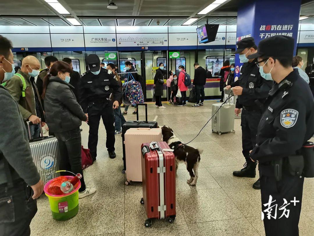 【广东新增8例病例详情/广东新增8例病例详情公布】 【广东新增8例病例详情/广东新增8例病例详情公布】