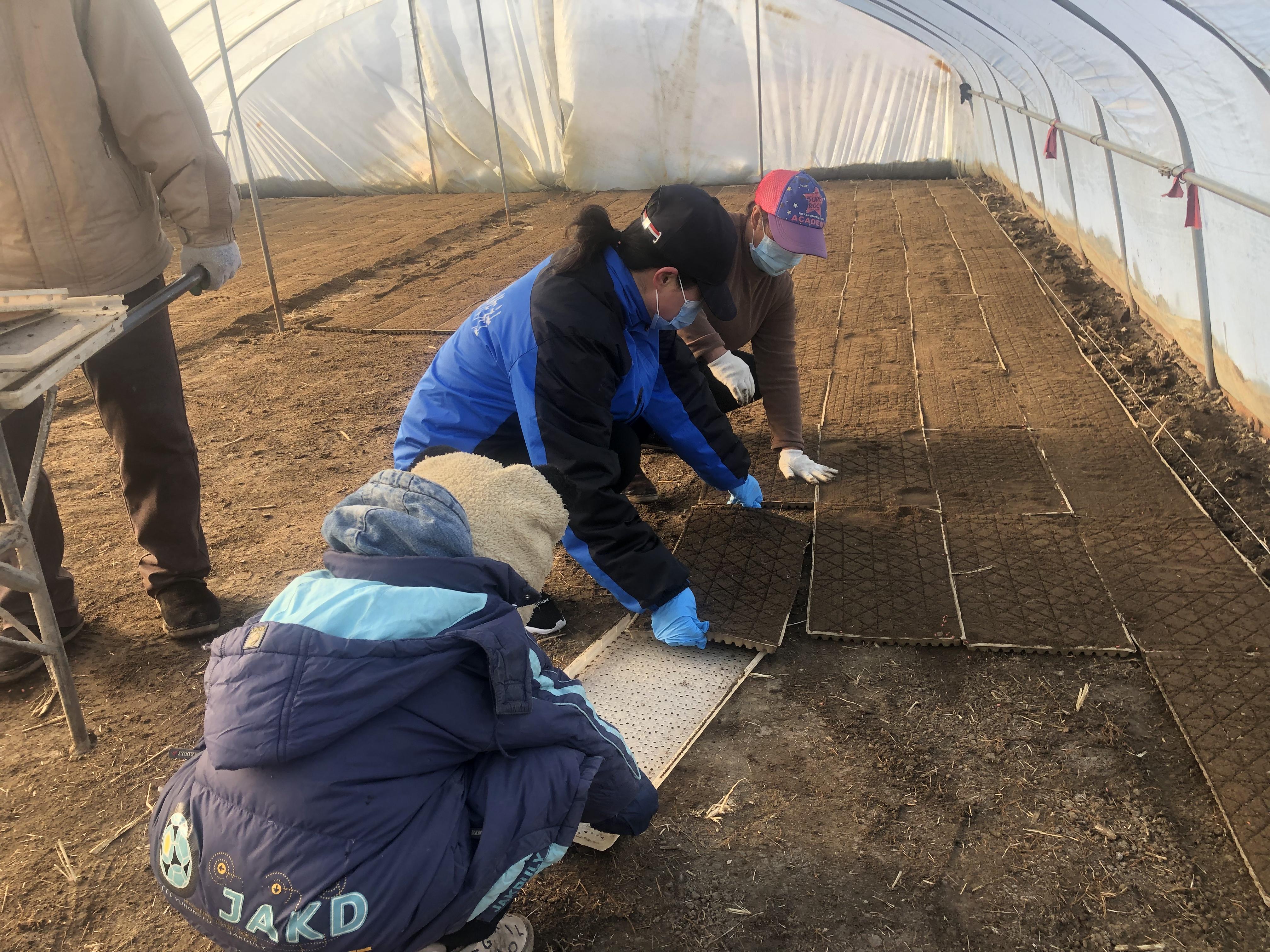 吉林疫情最新情况2021/吉林疫情最新动态 吉林疫情最新情况2021/吉林疫情最新动态