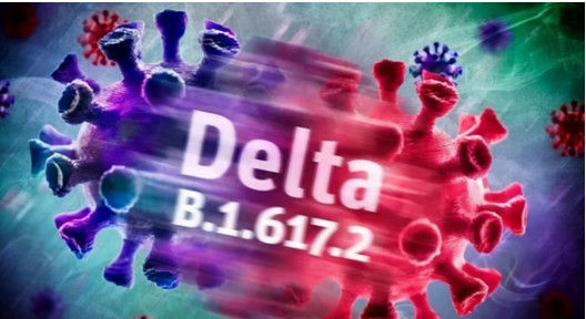 【德尔塔毒株现象,德尔塔毒株发作有什么现状呢】 【德尔塔毒株现象,德尔塔毒株发作有什么现状呢】