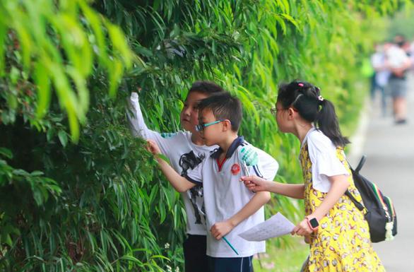 【上海被中央点名批评过吗/中央批准上海】 【上海被中央点名批评过吗/中央批准上海】