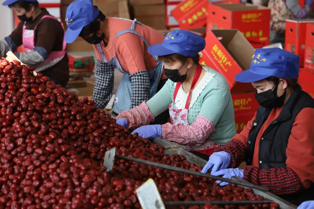 沧州今日特大新闻/沧州新闻最新消息今天 沧州今日特大新闻/沧州新闻最新消息今天