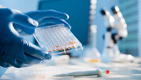 【我国有效控制疫情的原因/我国疫情得到了有效控制】 【我国有效控制疫情的原因/我国疫情得到了有效控制】