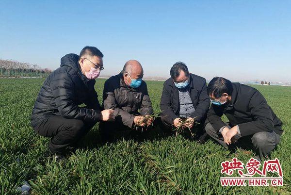 商丘一家十一人确诊:商丘一家12人确诊新冠 详情披露 商丘一家十一人确诊:商丘一家12人确诊新冠 详情披露