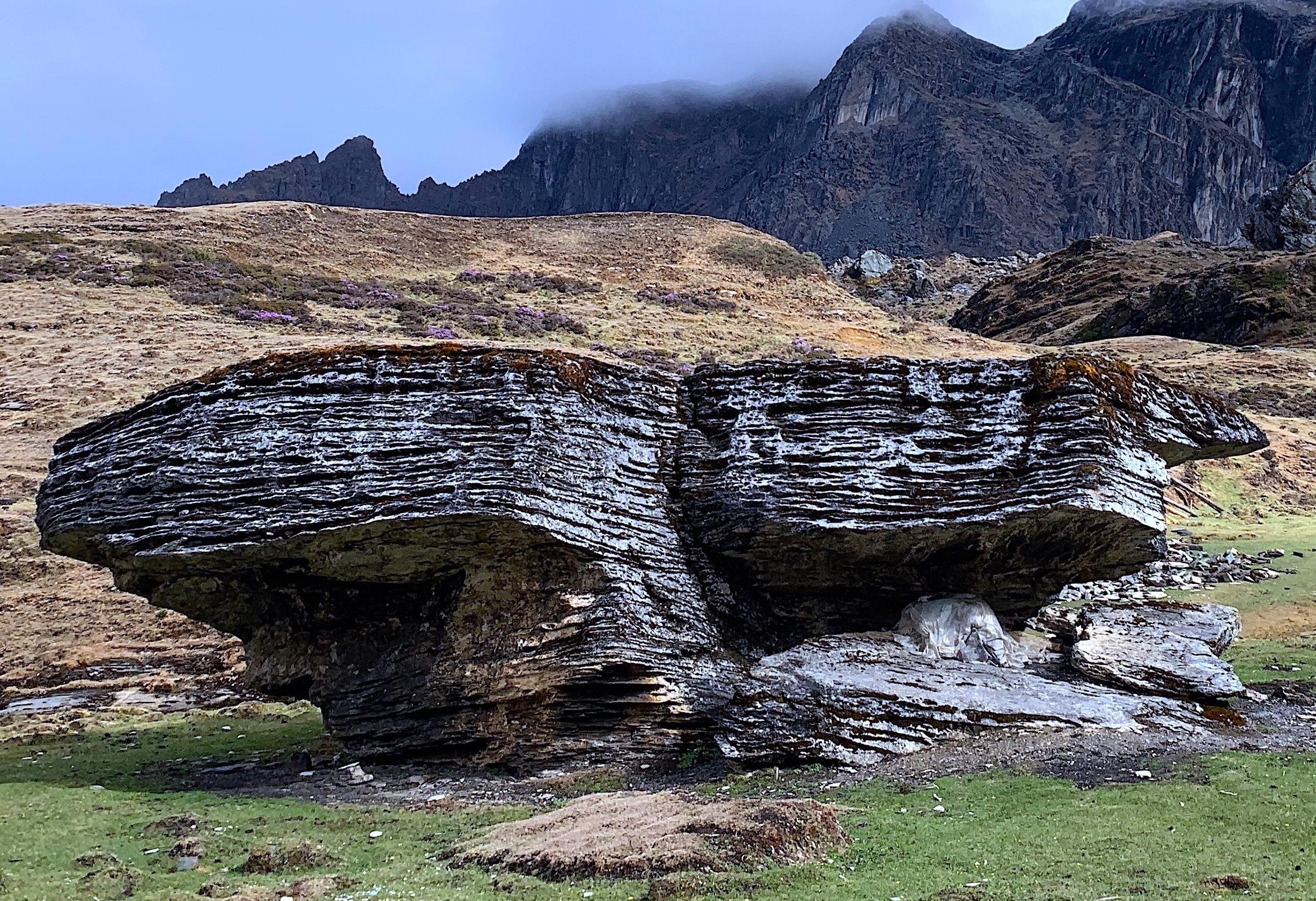 【洛克王国新号攻略2021,洛克王国新号送什么2020】