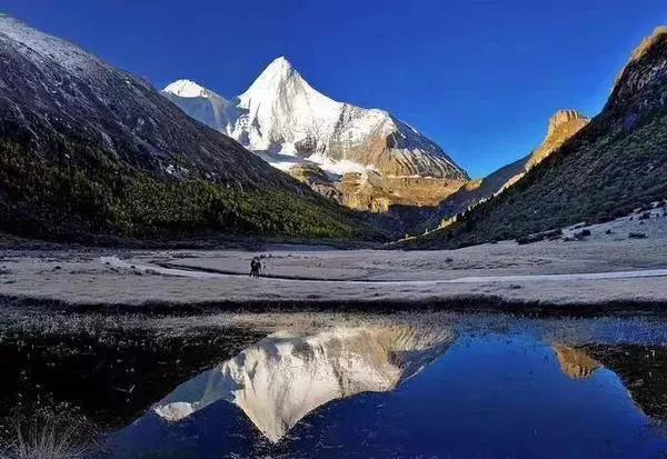 【洛克王国新号攻略2021,洛克王国新号送什么2020】