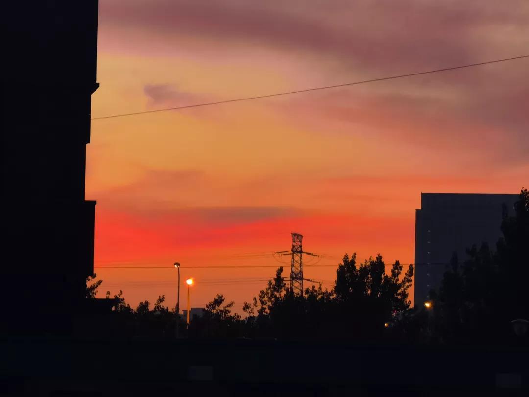 天津市限号5月(天津限号5月查询外地车) 天津市限号5月(天津限号5月查询外地车)