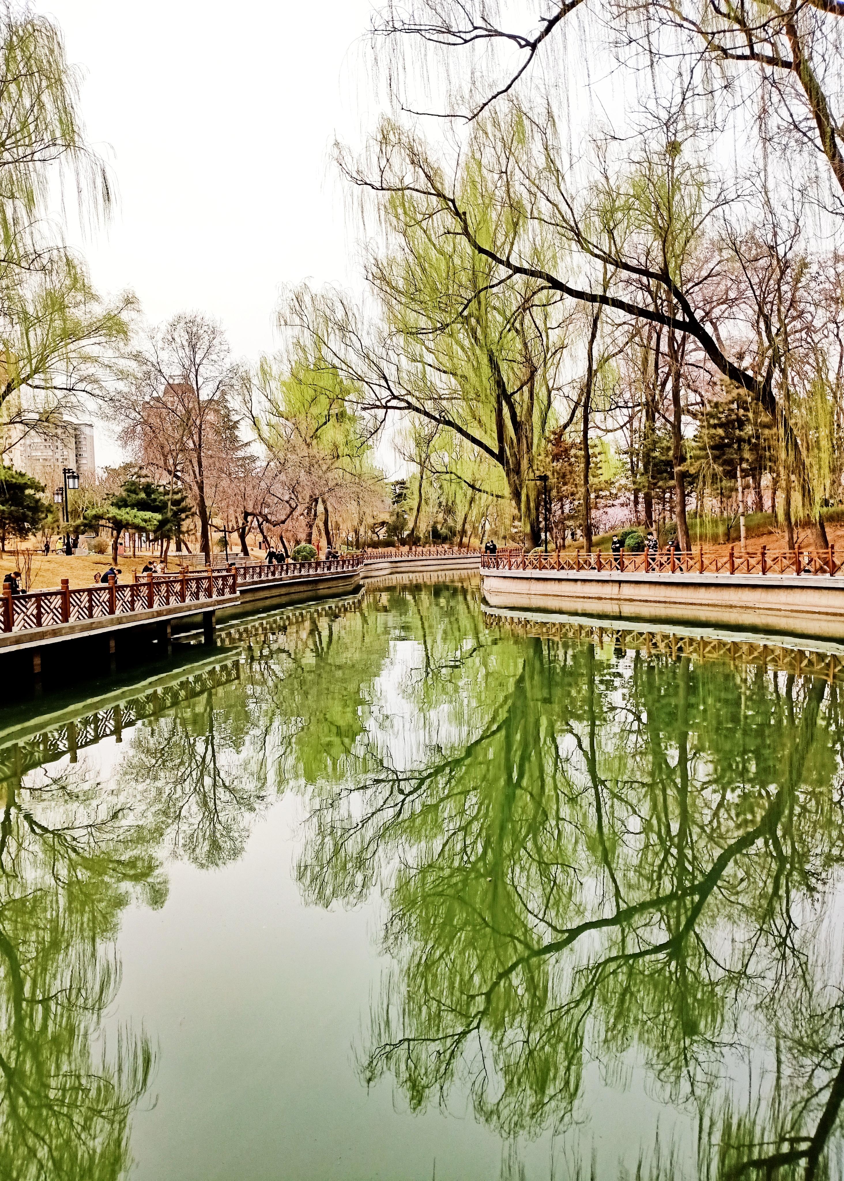 太原疫情最新动态:太原疫情最新消息分布