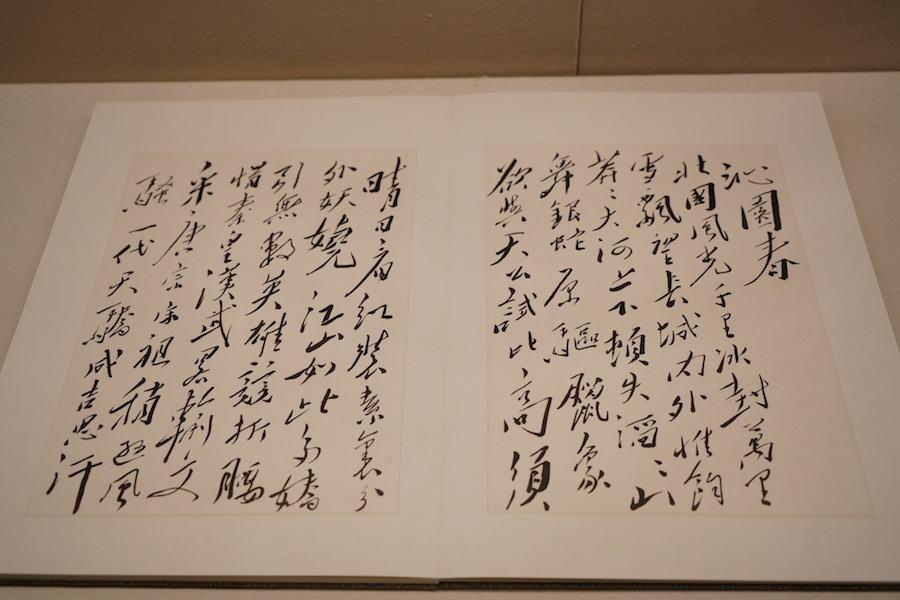 南京毛老太一人/南京毛老太近况 南京毛老太一人/南京毛老太近况